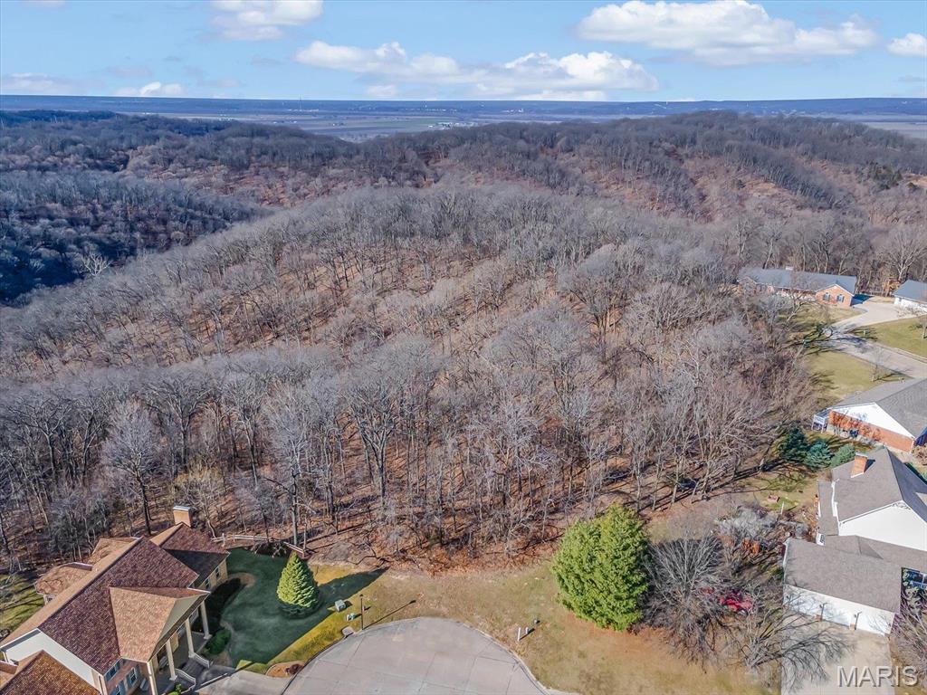 1.2-Acre Scenic Lot in Valmeyer – Build Your Dream Home! Tucked away in a secluded cul-de-sac, this 1.2-acre lot offers the perfect blend of privacy and scenic beauty. With plenty of space to design your ideal home, you'll enjoy peaceful surroundings and breathtaking views. Plus, you have the flexibility to bring your own approved builder to bring your vision to life! Don't miss this opportunity to build in a quiet, picturesque setting while still being conveniently located near local amenities. Schedule a time to walk the property and start planning your dream home today!