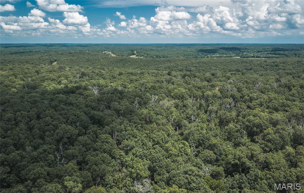 40 m/l acre tract located in Camden County. This tract has mature, old growth ,marketable timber. Great deer and turkey hunting.  Close proximity to the little Niangua creek and Lake Of the Ozarks for great fishing and recreation. An access road is being put in the center between the tracts and will have an electric access easement in place along it. More tracts available. Tracts to be surveyed. Owner will entertain selling other options.