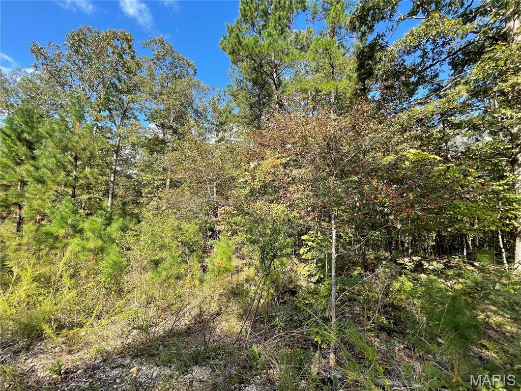 Woodland Heights Subdivision:  Now is your opportunity to build on this beautiful lot just minutes from Poplar Bluff, MO in scenic wooded area.  Lots range from 4.7 - 5 acres m/l.
