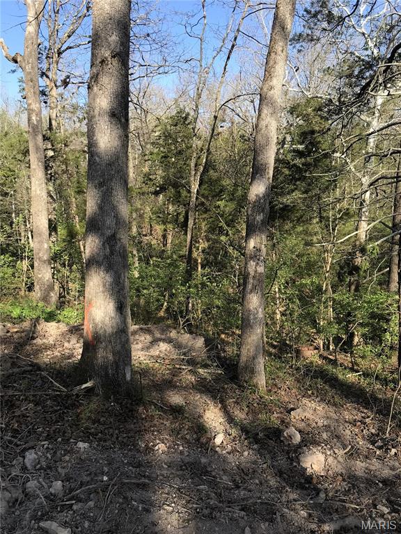 Lake Tishomingo - Land