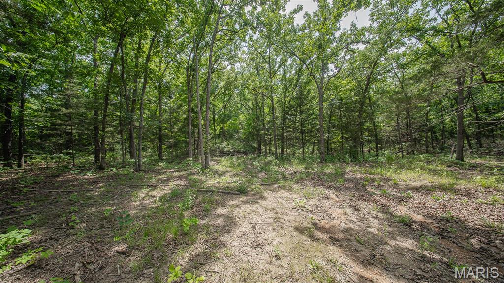 Discover the perfect setting for your dream home on this beautiful 21.72-acre tract m/l just minutes from Rolla. Surrounded by nature and abundant wildlife, this property offers the privacy and tranquility you've been searching for while remaining conveniently close to town. An established shared driveway provides easy access, and a driveway easement is already in place. With multiple suitable building sites and no restrictions, you'll have the freedom to design and build to fit your vision. Whether you're looking for a private homesite, recreational getaway, or investment opportunity, this versatile property offers endless possibilities in a peaceful country setting.