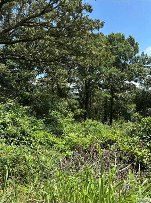 .12 acre  wooded, undeveloped circular lots available in Deer Run. Lot is connected to common ground, granting access to the gravel bars along both sides of the scenic Current River. Additionally, residents can utilize a trash dumpster. The annual HOA fee is $125 annually.