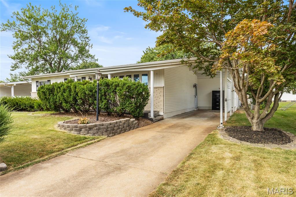 Flamingo Park 3 - Residential