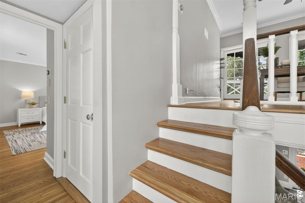 Litzsinger Lane - Residential