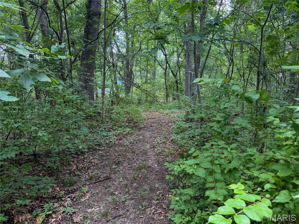 Lake Hollow - Land