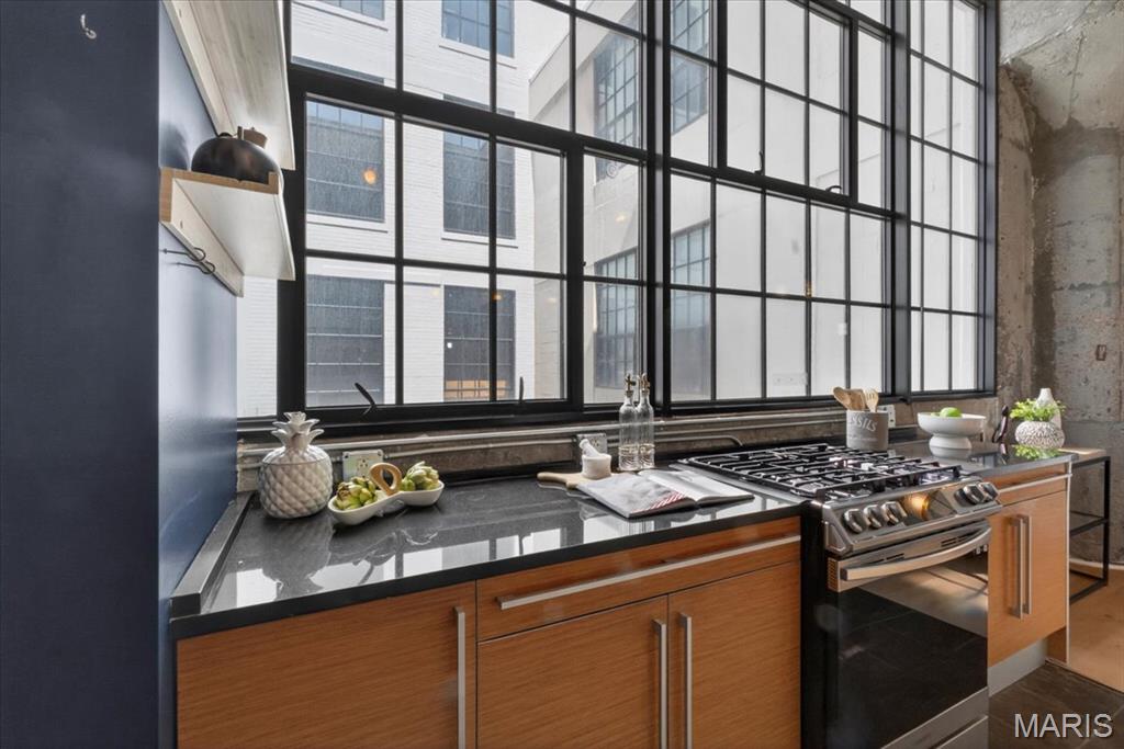 First Amendment/West End Lofts - Residential
