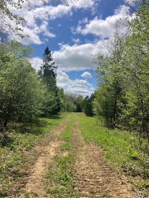 This 17.96 acres includes a small clearing adjacent to a spring-fed stream. It also has deeded gravel road access an sits only about 1.5 miles from Mark Twain National Forest.
It's a hunting or homesteading paradise. Or use is simply as a great home or cabin or camping site.
You'll have a deeded access road to the property. This secluded valley oasis comes with NO restrictions.
Hunt, camp, build, ride ATVs on your own land, or just a short hike or drive and you'll be in the picturesque and pristine 22,176-acre section of Mark Twain National Forest ... public ground where you can also hunt, ride and explore. All this, and only about a mile from a paved state road. 
Use this wooded, secluded property as a base camp for adventure or build your forever home and live out your days in secluded bliss. This and surrounding land is teeming with deer, turkey and small game, and the occasional feral hog or maybe a black bear. There is additional acres available which adjoin this piece if interested.