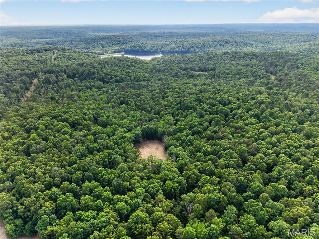Discover a hunter's paradise in Ripley County, Missouri. Located in the Fairdealing area, this premier 75-acre recreational tract offers maturing Ozark timber, strategic water sources, and exceptional privacy right next door to world-class public land. Outdoor recreation opportunities abound in the area, making this an exceptional year-round destination for outdoor sports enthusiasts. This premium Ripley County acreage delivers an excellent blend of dense holding cover and turn-key hunting features. Accessing the property is easy, located just north of Highway 160 in Fairdealing. Follow Highway BB until the blacktop transitions into a maintained gravel road for approximately t 3 miles, leading you directly to your private retreat. With over 1,600 feet of county road frontage, the property offers fantastic accessibility and multiple potential entry points. Electric power is can be accessible at the road, making this a prime candidate for a future cabin, hunting camp, or camper hookup.
Navigating the rolling Ozark terrain is seamless via the clean interior trail system, allowing you to quietly slip into stands, ride ATVs, or hike the property. The land is highly dynamic, featuring several seasonal creeks and wet-weather runoffs that act as vital water sources and natural travel funnels for local wildlife.
Food plot management is already simplified with two large, pre-cleared locations positioned strategically to capitalize on natural deer & wildlife movement. Because this property sits right in the path of the expansive, 1,404-acre Mudpuppy Conservation Area—which terminates at the end of Highway BB—your acreage benefits from a massive, protected wildlife buffer. Outdoor recreation options expand significantly with the Little Black River flowing nearby. This designated outstanding state water resource provides an incredible aquatic buffer, excellent local fishing, floating, and kayaking opportunities. It creates a continuous sanctuary packed with heavy deer sign, active scrapes, and roosting turkeys, offering private-land exclusivity with endless room to roam just up the road.