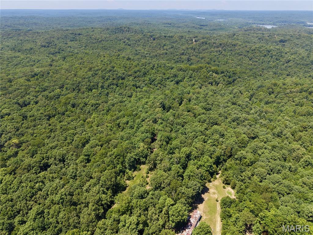 Discover a rare opportunity to own 107± acres of premier recreational and hunting land on Highway 172. Surrounded by Missouri Department of Conservation and U.S. Army Corps of Engineers ground, this secluded property offers exceptional privacy and direct access to thousands of acres of additional public land. A network of accessible trails winds throughout the property, leading to scenic creeks, established food plot locations, and diverse wildlife habitat. Deer, turkey, and other game are abundant, making this a true sportsman's paradise with outstanding hunting potential. Whether you're looking for a private hunting retreat, weekend getaway, or long-term investment, this tract delivers. Located just one mile from the Chionia Landing boat ramp, you'll enjoy quick access to the St. Francis River and Wappapello Lake, while the Wappapello State Park boat ramp is only a short drive away for even more outdoor recreation. Properties of this caliber, with this combination of location, access, and surrounding protected land, rarely become available. Don't miss your chance to own an exceptional piece of Missouri's great outdoors.