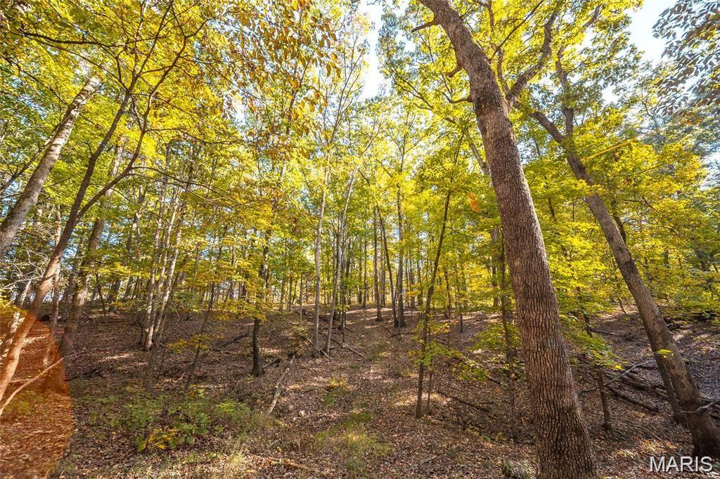 Callaway County - Land