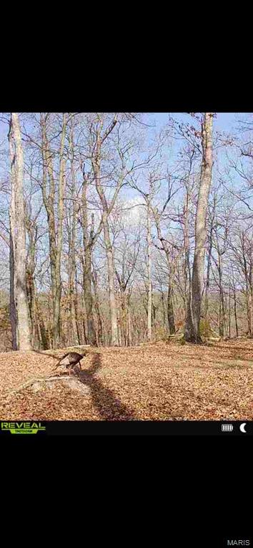 Callaway County - Land
