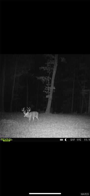 Callaway County - Land