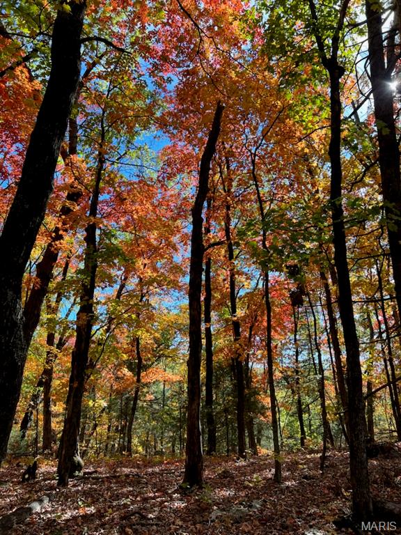 This 65.77 +/- acre hunting tract in Callaway County is a true sportsman’s paradise, located 28 minutes from downtown Hermann and approximately 1 hour from Chesterfield Valley. Loaded with massive whitetail deer and strong turkey populations, this property offers excellent habitat and proven wildlife activity throughout the seasons. The land is predominantly wooded with large oaks, providing ideal cover, natural travel corridors, and multiple excellent stand locations for serious hunters. Two wet-weather creeks run through the property, supplying a reliable natural water source and enhancing wildlife movement. Adding to the uniqueness of the land is a sunken cave, an uncommon and interesting natural feature that further sets this tract apart. The property includes onsite electric access, several beautiful potential homesites, and an impressive 900-foot driveway leading into the property—perfect for a secluded campsite, cabin, or hunting lodge. A recently constructed ATV/UTV trail extends to the back of the property and leads through a newly established 2 to 3 acre food plot, already enhancing the property’s hunting potential. With direct access right off a county road, the property is easy to reach while still offering the privacy and seclusion hunters desire. Located near the quiet river towns of Portland and Rhineland, Missouri, this property is an outstanding opportunity for a dedicated hunting tract, recreational getaway, or long-term land investment. Ideal for family hiking, hunting or living, don't miss this opportunity.
