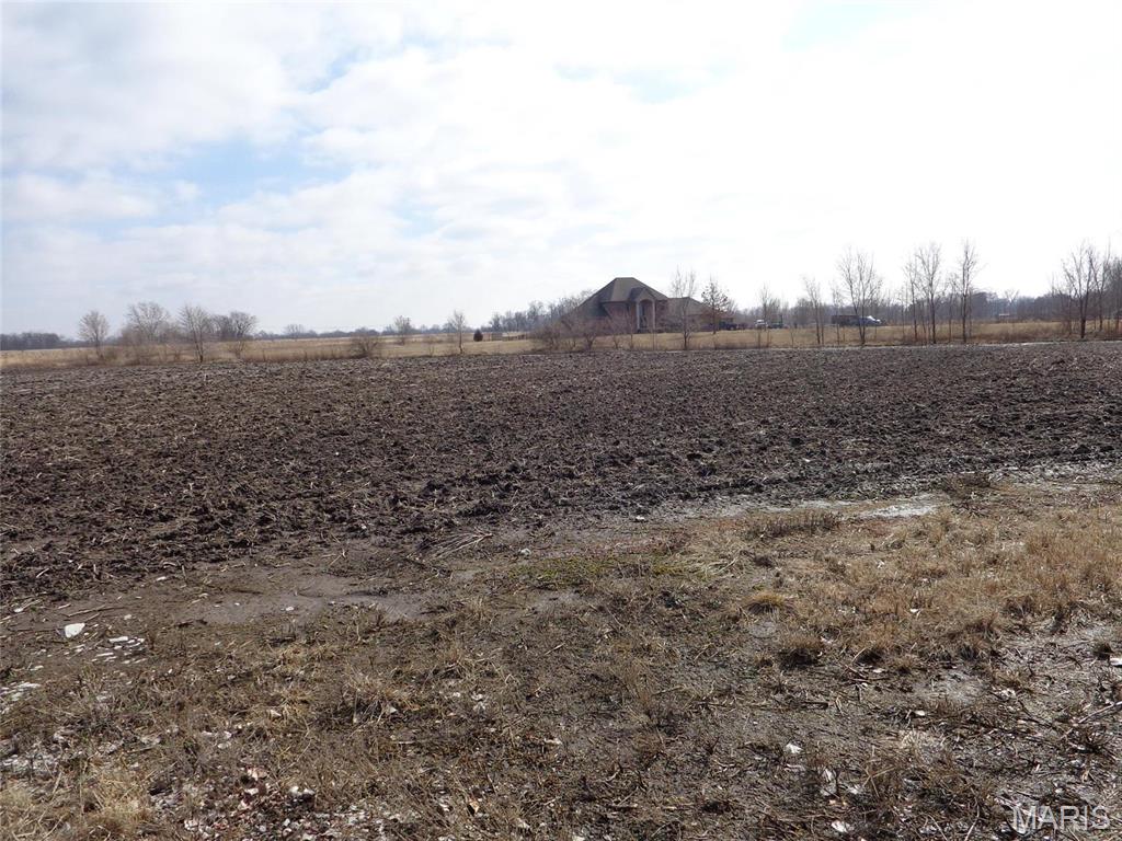 15.68 acres of level land that is zoned as farm land at this time and is being farmed that can be zoned back to residential with city approval. Sellers put a gravel road on the property. Lot sits on Morrison road just past DonnaLynne subdivision. This is a great place for developing a small subdivision or building your own little paradise with a couple family and friends to live close together. At $14,350 an acre this is cheaper than most residential lots in the area.