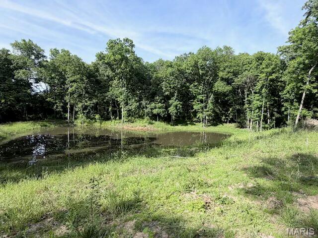 3.5 WOODED ACRES in Foley, MO- Your Private Retreat Awaits- Escape to nature on this beautiful 3.5-acre parcel! Mostly wooded and bordered by mature hardwoods, this property offers privacy, tranquility, and endless possibilities. A picturesque pond sits at the heart of the land, reflecting the surrounding tree line and creating a peaceful focal point for wildlife, fishing, or simply relaxing at the water's edge. Open grassy clearings blend seamlessly into dense woods, offering the perfect mix of usable land and natural cover- ideal for a future homesite, weekend cabin, or recreational getaway. Deer, turkey, and other wildlife frequent this area, making this a hunter's or nature lover's dream. Whether you're looking to build your dream home surrounded by trees, create a private hunting retreat, or simply invest in a slice of Missouri countryside, this property delivers. Enjoy the quiet of rural living while remaining conveniently located near local amenities.