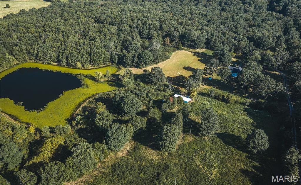 Welcome to your slice of country paradise! This beautifully renovated 4 bed, 4 bath home is nestled on 60+/- UNRESTRICTED acres, offering endless opportunities for your vision — whether it’s a hobby farm, homestead, or simply a peaceful retreat. Step inside to find a stunning kitchen with brand new oak cabinets, granite countertops, and a prep sink ready for cooking or entertaining. The entire home has been refreshed with brand new flooring, fresh paint and completely updated luxury bathrooms featuring jet tubs and multiple shower heads for that perfect mix of style and comfort. Some more functional upgrades include brand new siding, new roof and some new windows. Outside, the land is just as inviting — enjoy your own 5-acre lake, multiple storage sheds, a small orchard with fruit trees, and a sprinkler system to keep your garden thriving. A brand-new deck provides the perfect spot to soak in the views or host friends and family. With so many updates already in place, this property is truly move-in ready and waiting for its next chapter. Don’t miss your chance to see this gorgeous property  — call today to schedule your showing!