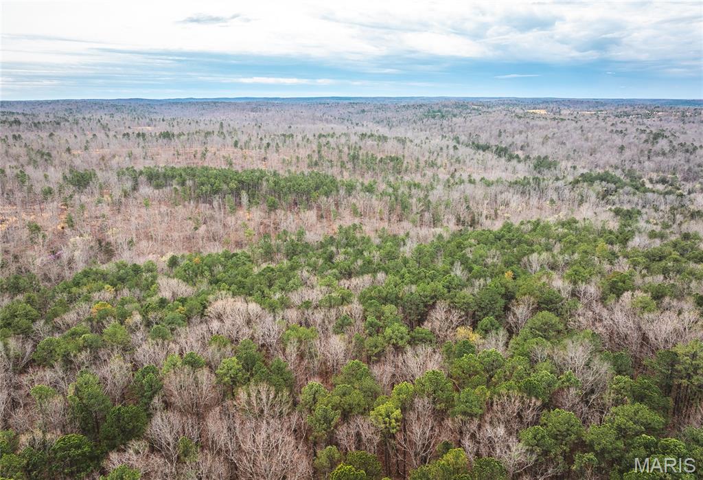 This 730± acre tract outside Potosi, MO, is an all-timber property offering endless outdoor opportunities. A well-maintained trail system weaves throughout the rolling terrain, making it easy to explore the entire property by foot or ATV. Little Fourche a Renault enters from the north, providing a year-round water source and adding to the scenic beauty of the land. The diverse habitat of hardwoods, thick cover, and natural openings creates prime conditions for deer and turkey hunting, with ample food, water, and bedding areas to hold wildlife year-round. Easement access from the north ensures privacy and seclusion while still keeping you close to town for convenience. Whether you’re looking for a hunting retreat, recreational getaway, or a large piece of ground to manage for wildlife, this property offers the space, habitat diversity, and access you need to create your ideal outdoor destination.