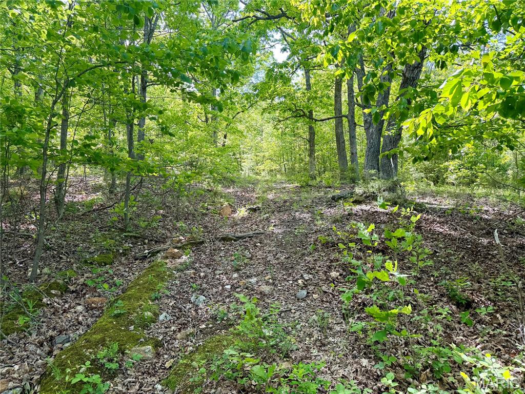 Build Your Dreams or Park Your Escape—5 Wooded Acres Near St. Louis!
Escape the city hustle to your own 5-acre sanctuary! Located just one hour south of St. Louis with convenient access to Hwy 21, this stunning tract offers the perfect blend of seclusion and accessibility. The property features a lush canopy of beautiful mature timber, providing natural privacy for your future custom home or a peaceful weekend getaway for your camper. With electric access close by, the hardest part of your build is already handled. Whether you’re looking for a permanent homestead or a private hunting/recreation spot, this land is a rare find. Acreage this close to the city doesn’t last—schedule your private tour today!