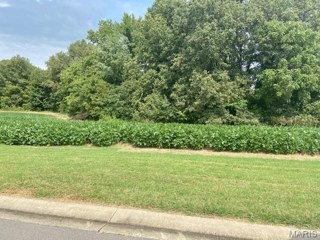 Looking to build in perfect location ? Timber Creek Subdivision has 9  lots  available to choose from. As you enter the Bricked entrance , you will notice how well this subdivision  is maintained. It's quiet and close to Dexter schools ! City water and sewer, with Ameren electric lines underground and natural gas.  Plat map available. Additional Rooms: In Platted Subdv.