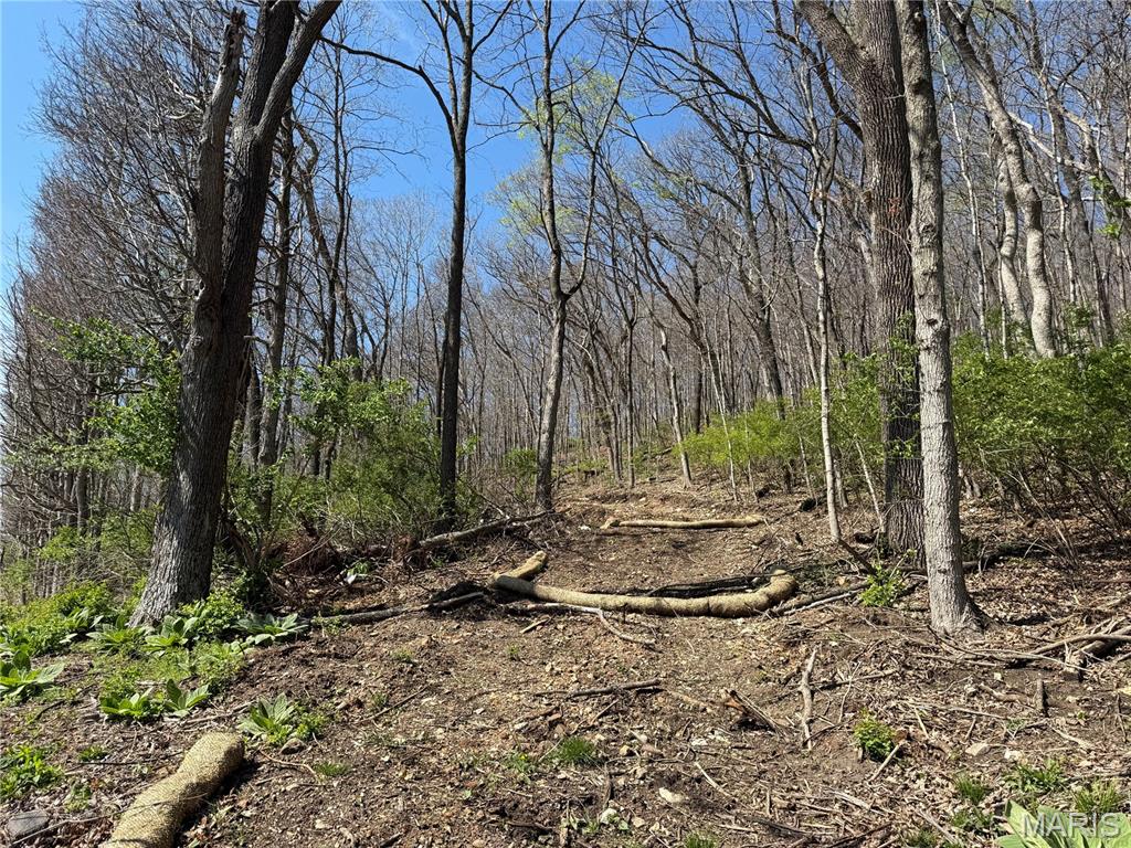 Check out this 4.57 acres ready for your future plans. A road has been cleared for your future building plans! This lot is currently zoned residential. R10 zoning and permitted zoning uses are attached to the listing. Seller also has an additional lot listed for sale on Indian Springs that butts up to a portion of this property.