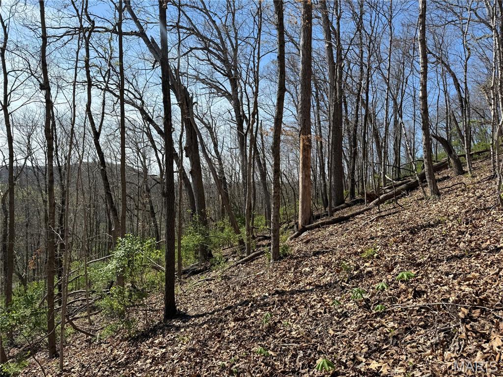 Weber Terrace - Land