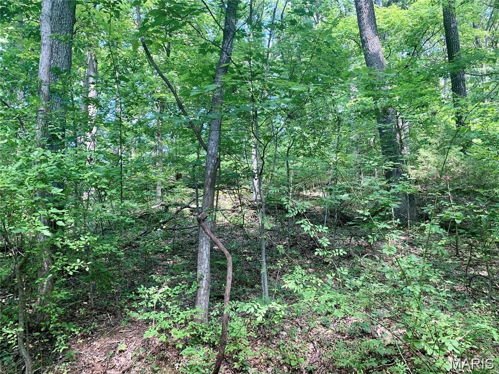 Greenwood Acres - Land