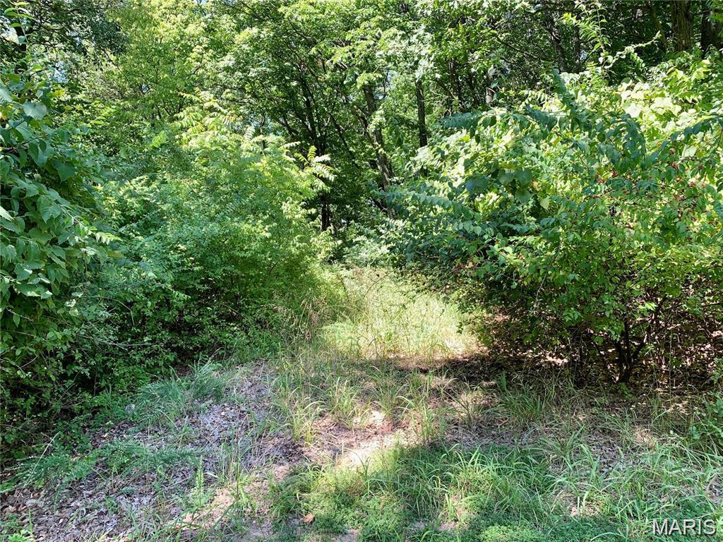 Greenwood Acres - Land