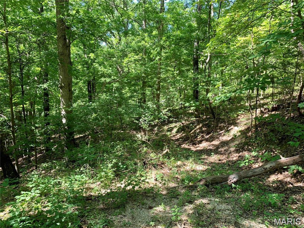 NEW PRICE!!!  One of 3 Adjoining Lots totaling 3.47 Acres for Sale in Dogwood Acres and Greenwood Acres.  Heavily wooded and perfect for Building your Custom Dream Home or Private Getaway.   Paved Roads.  Nearby Public Utilities.  Easy access to New Hwy 21.  Minutes from Arnold or Fenton. Rock Creek Sewer and Water District (C-1). Easement Access to Public Utilities.  Fox C-6 Schools!