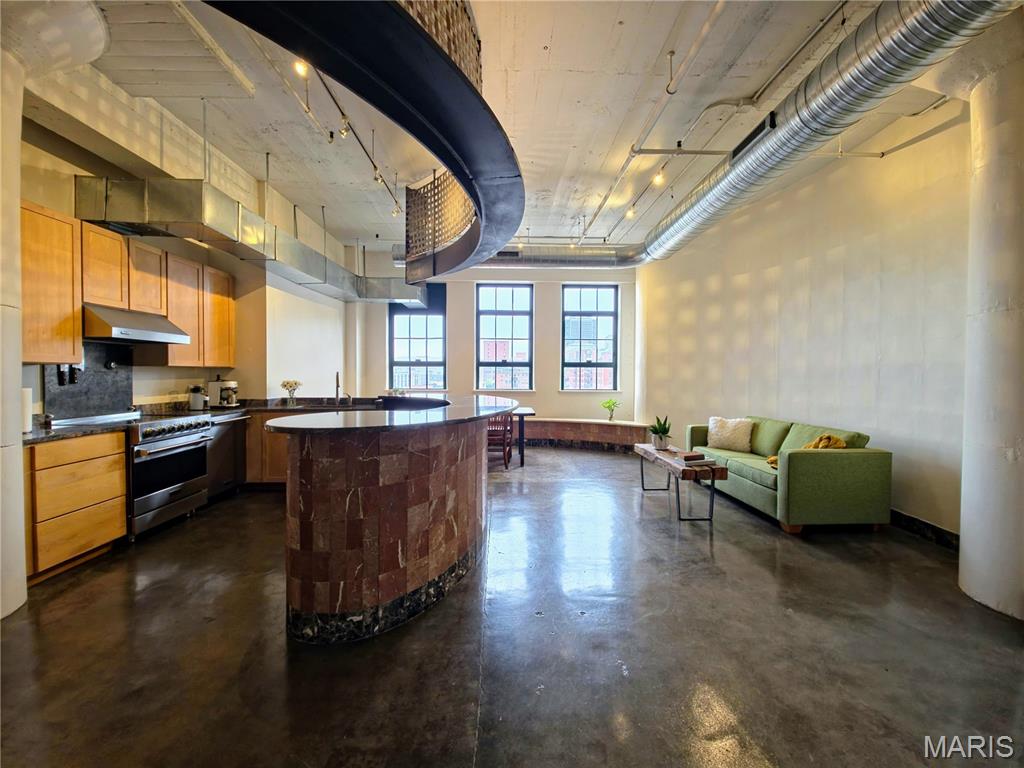 City Museum Lofts - Residential