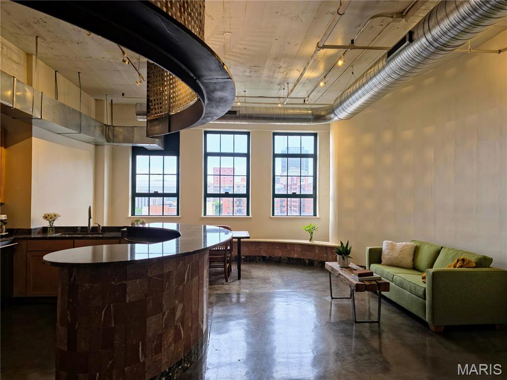 City Museum Lofts - Residential