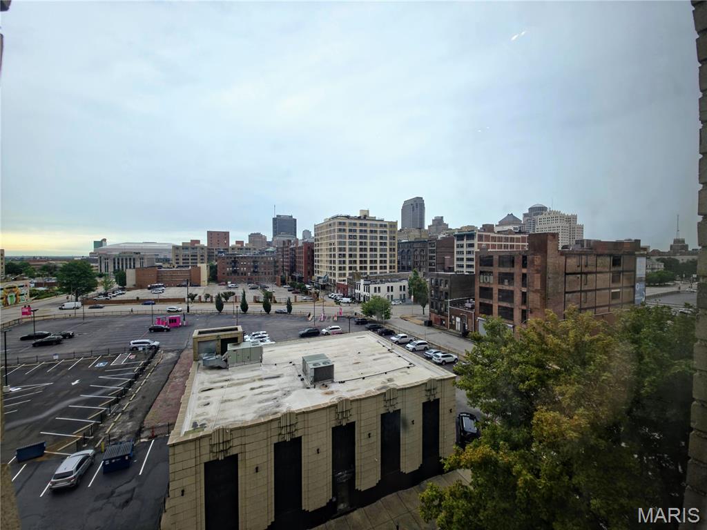 City Museum Lofts - Residential