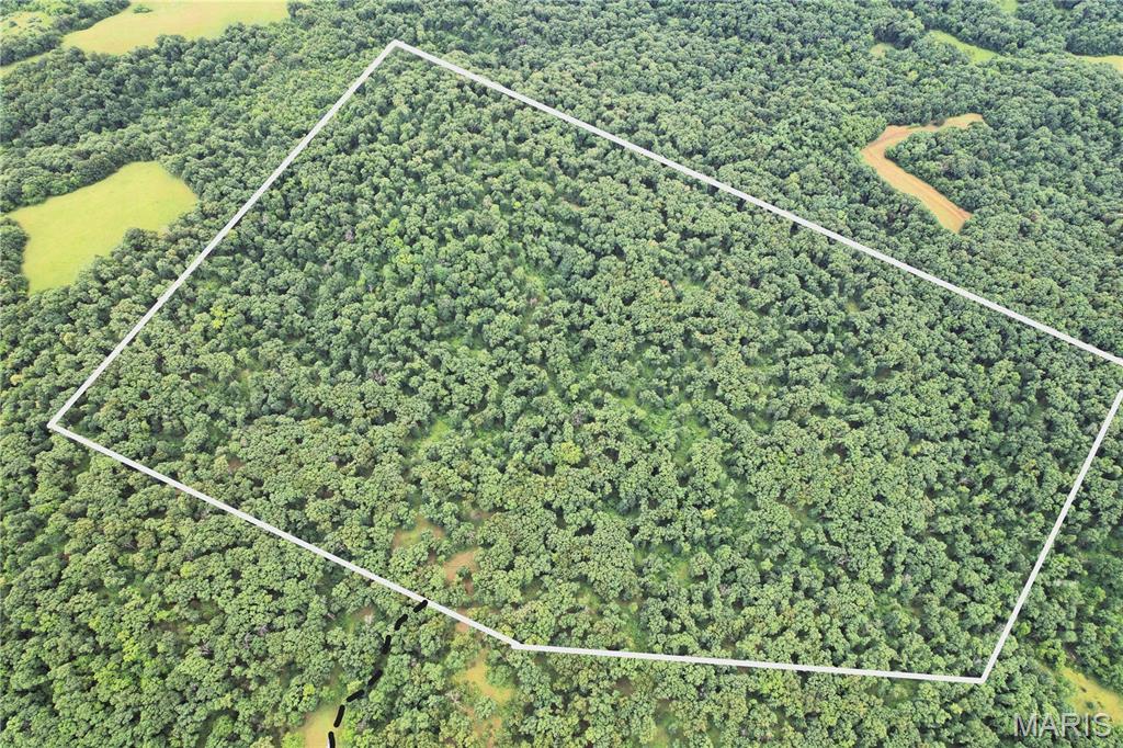 If you've been searching for a truly untouched hunting and recreational tract, this 84.7 surveyed acres in Ralls County deserves a look. Consisting entirely of mature timber with no known logging history, this property offers exceptional wildlife habitat, natural beauty, and long-term investment potential.

Located in an area well known for producing quality whitetail deer and abundant turkey populations, the property provides excellent opportunities for hunting, recreation, camping, or building your dream cabin getaway. Two recorded easements provide legal access to the property, and electric and water are located nearby for future development possibilities.

Conveniently situated just 15 minutes from Hannibal and approximately 1.5 hours from St. Louis, this tract offers the perfect balance of seclusion and accessibility. Whether you're looking for a premier hunting property, weekend retreat, or long-term land investment, this Ralls County timber tract checks all the boxes.