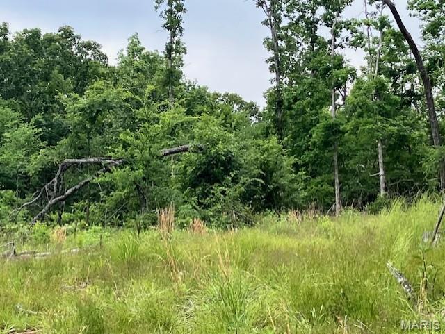 On the top of the ridge with a southwest facing view, a good amount of flat area, and a nice deeded gravel road access.
 This more than 16 acre ridgetop oasis comes with NO restrictions, and can be had for less than the price of a new truck or SUV. And has one of the best southwest facing view in the Ozarks.
Hunt, camp, build, ride ATVs on your own land, or fish or play in nearby creeks ... endless opportunities.
This property is wooded and rolling. You are within a mile of the 22,176-acre Mark Twain National Forest ... public ground where you can also hunt, ride and explore. All this, and only about 2 miles by road from U.S. 67.
Use this wooded, secluded property as a base camp for adventure or build your forever home and live out your days in secluded bliss. This and surrounding land is teeming with deer, turkey and small game, and the occasional feral hog or maybe a black bear.
There is additional acres available which adjoin this piece if interested.