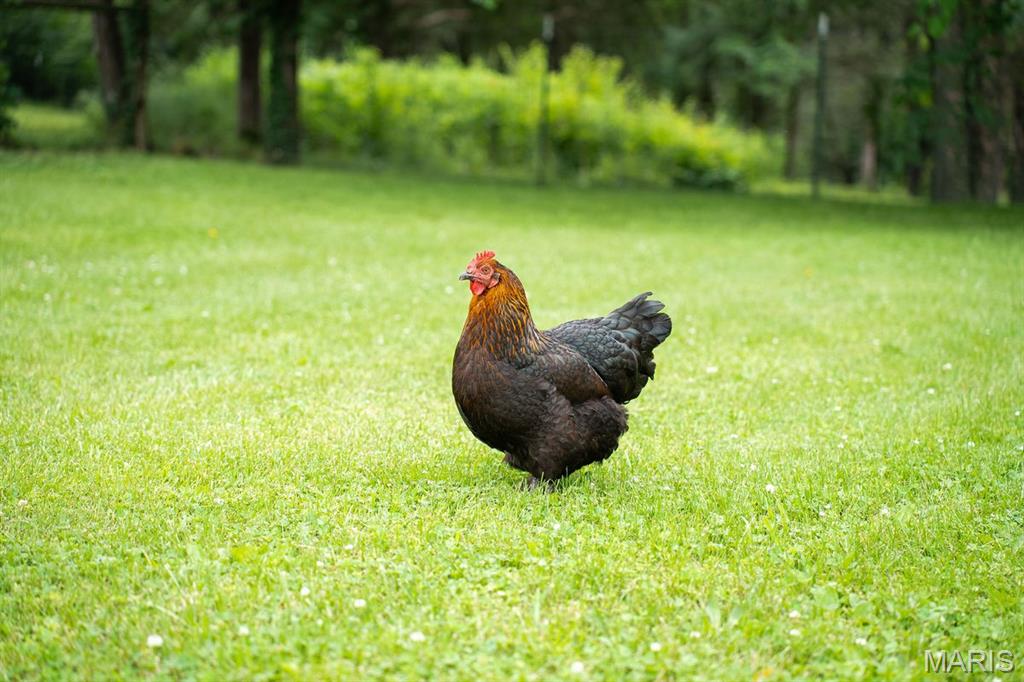 NA - Farm