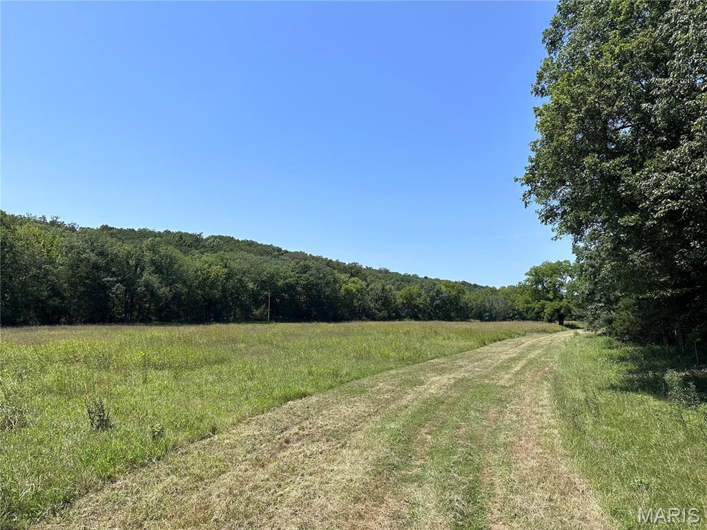 You finally found that dream piece of property! This incredible 10.02 +/-acre lot offers beautiful flat pastured land and the perfect opportunity for those seeking a peaceful countryside lifestyle. Situated in prime location this builder-ready lot provides ample space to create your own private oasis. With mixture of open meadow and mature hardwood timber, this property showcases the beauty of nature and offers a haven for wildlife enthusiasts. With amazing builder potential, this lot is ready for your dream home. Located less than an hour from St. Louis metro area, this property offers the perfect balance between rural living and urban convenience. Enjoy the tranquility the countryside while still having easy access to nearby amenities schools, and shopping centers. Ameren is putting in the electric. This property is in a flood zone however where you could build a homesite is not.