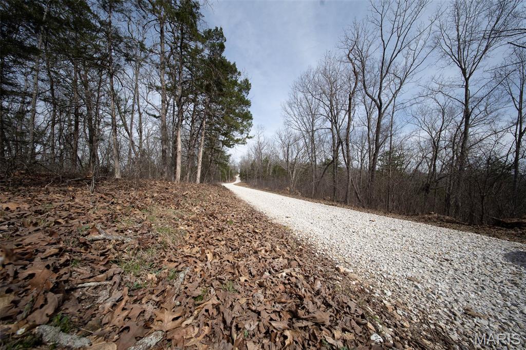 Discover the perfect setting for your dream home on approximately 20 acres of beautiful, vacant land nestled just off of State Route HH in the Rolla area. This property features an established gravel road leading directly to the parcel, offering convenient access while maintaining privacy. Enjoy the natural beauty of the land with gentle topography, abundant wildlife, and multiple ideal building sites to suit your vision. With minimal restrictions, the possibilities are endless—whether you're looking to build, hunt, or simply escape to your own private retreat. Located within the Rolla School District, this property combines peaceful country living with proximity to local amenities. Don't miss your opportunity to own a piece of paradise!
