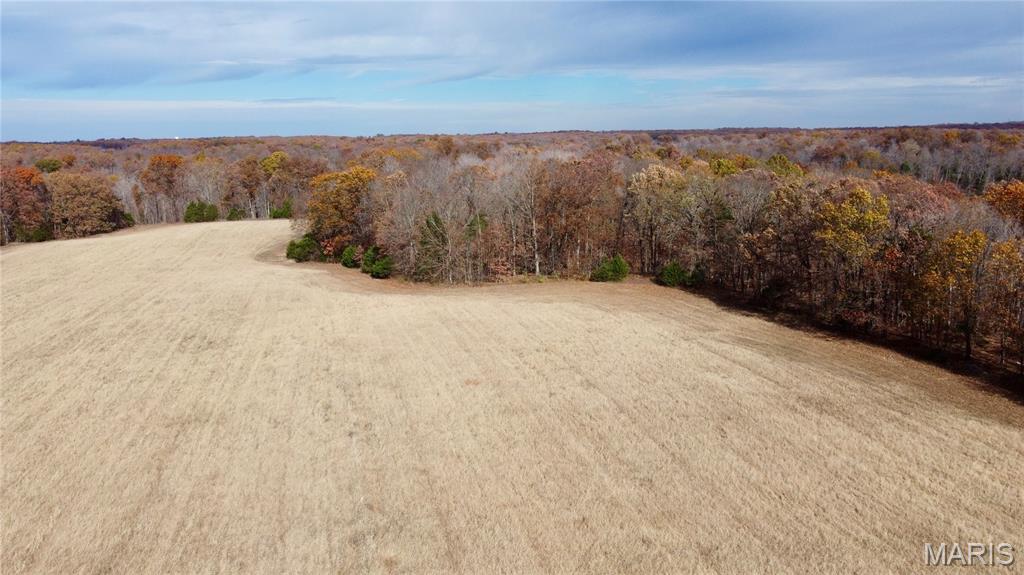 Tract 2

Multiple tracts available ranging from 22-40 acres. You can buy one or combine multiple tracts! Finding the right property to build your dream home has many factors with location being a top one. The privacy of this property gets you away for the serenity you dream of but still within 30 minutes to Washington, Wentzville or Warrenton, MO. 

The location of Polston Farms is incredible but the views are hard to beat as well. With a newly constructed road onto the farm that leads you to the 12 lots of many different sizes. Each tract has its own unique attributes but they all have one thing in common, seclusion! Each lot has electric and are build ready if you decide to do so. Minimum restrictions along with a road agreement. Don't miss out on your chance to own one of these tracts to build or just to getaway!