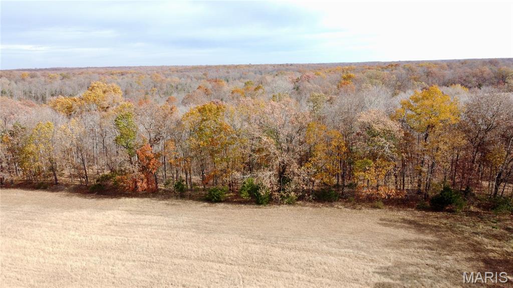 Polston Farms - Farm