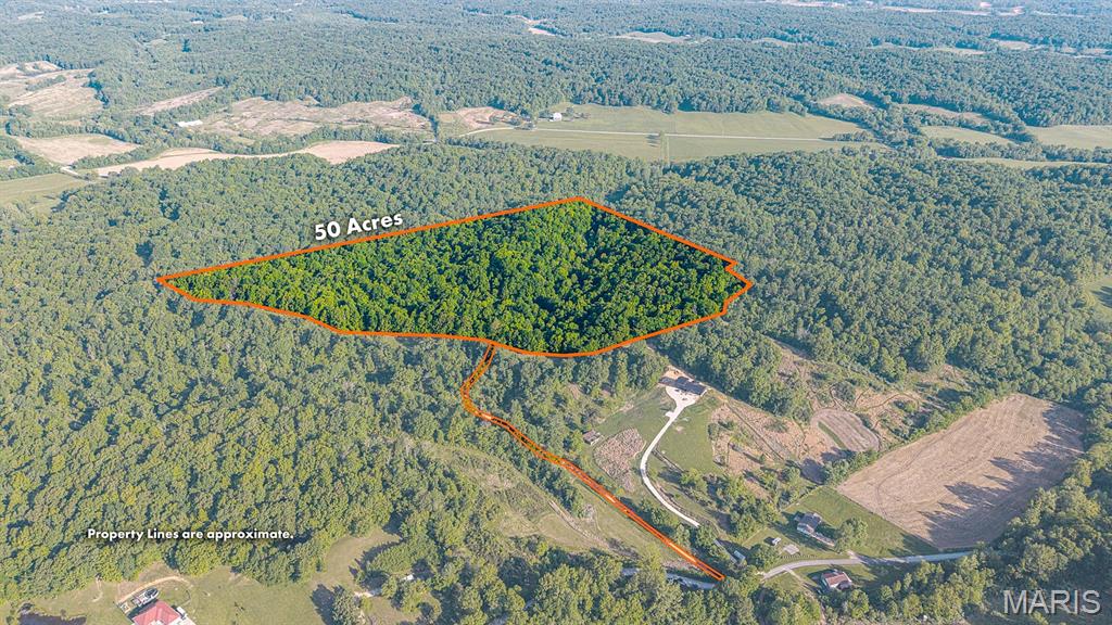 Discover the perfect balance of seclusion and convenience on this stunning 50-acre timber tract in Cape Girardeau County. For the hunter or outdoorsman who understands that the best land is also the best investment, this tract is a rare find. Tucked into the hills of Oriole, Missouri, this property sits just over the ridge from the Mississippi River and Trail of Tears State Park, placing you in one of the most productive wildlife corridors in the region. Whether you're chasing trophy longbeards in the spring or waiting on a heavy-racked buck in November, this ground is a proven producer.

This isn't just a patch of woods; it’s a high-quality stand of tall timber. From a sportsman’s perspective, these hardwoods provide a massive mast crop to keep game on the property year-round. From an investor’s perspective, the standing timber represents significant "banked" value that continues to grow alongside the land’s natural appreciation. Whether you're looking for a weekend escape or a permanent residence, you are only 20–25 minutes from the heart of Cape Girardeau. This land is a sportsman’s stronghold, boasting heavy timber cover and wet-weather creeks that serve as a natural travel corridor for trophy whitetail deer and wild turkey. Enjoy an interior trail already in place to allow for more time in the stand. Beyond your own borders, you’ll enjoy nearby access to the extensive hiking and equestrian trails, fishing, and breathtaking river overlooks that make this region a destination for outdoor enthusiasts.

Practicality meets privacy with a dedicated 18’ wide easement and an established gravel driveway leading to a cleared landing—perfectly positioned for a hunting camp, off-grid cabin, or a permanent estate. With multiple potential build sites and nearby utility access, this land is ready to be transformed into a permanent private sanctuary. The rising demand for large acreage near Cape Girardeau makes this a rock-solid addition to any land portfolio.

Property Highlights:
Gated & gravel driveway ensuring privacy 
Acreage: 50 +/- acres of quality timber with future harvest value
Prime Hunting: Located in a top-tier deer and turkey corridor near the Mississippi River
Wet-weather creek/run-off serving as a natural wildlife funnel
Location: 20-25 mins to Cape Girardeau
Recreation:  Nearby at Trail of Tears State Park
Access: Private 18’ wide easement with interior trails
Setup: Cleared landing for base camp or custom application
Multiple ridge-top sites for a cabin or home with nearby utility potential
90 mins to St. Louis