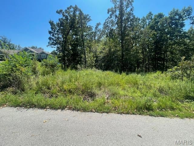 If you are looking for a lot to build your dream home, check out this 1.33 acre lot in the very desirable Timberlake Trails Subdivision. One of the perks living in this subdivision is the private lake that you can fish out of if you live in the subdivision. Drive by and look at the beautiful homes and then call me to make an offer.