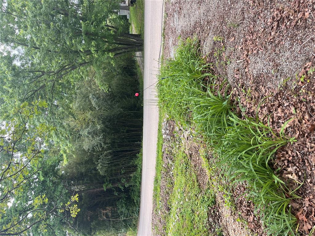 Goose Creek - Residential
