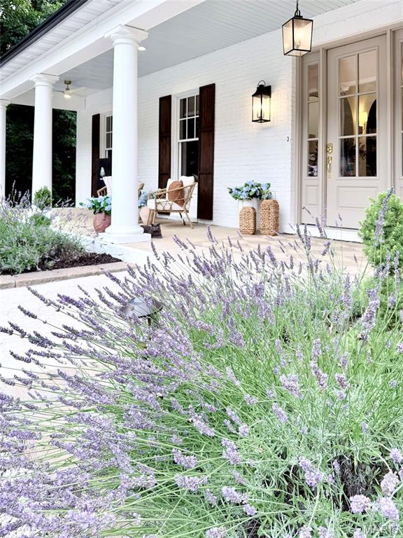 Chesapeake On The Bluff - Residential