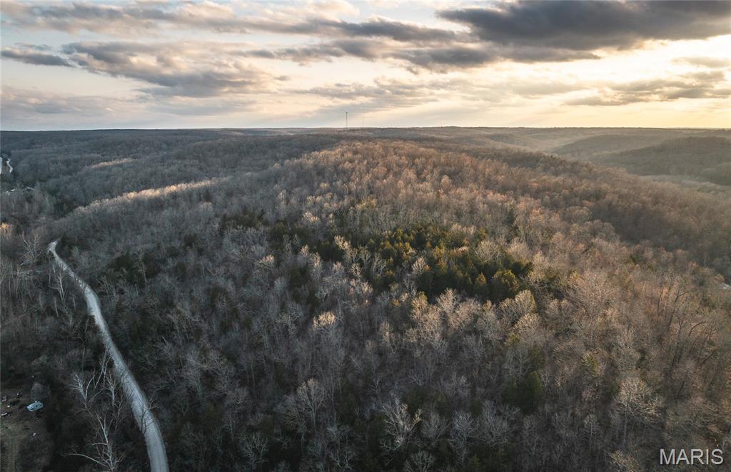 51 acres of beautiful wooded land where you can truly own your own mountain. This property offers breathtaking views, abundant wildlife, and excellent hunting opportunities with plenty of game throughout the land. It backs up to the Mark Twain National Forest, providing even more room to explore and enjoy nature. Whether you’re looking to build a private retreat, a hunting getaway, or simply invest in land, this property offers peace, privacy, and endless possibilities. Conveniently located with easy access to I-44 while still offering the seclusion of the outdoors.