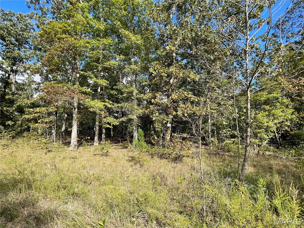 Woodland Heights Subdivision:  Now is your opportunity to build on this beautiful lot just minutes from Poplar Bluff, MO in scenic wooded area.  Lots range from 4.7 - 5 acres m/l.