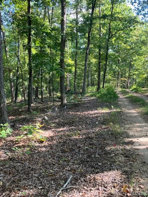 This picturesque 22.6 acres with a magnificent Ozarks view includes a deeded access road to the property, and deeded access to a nearby shared spring-fed stream, and sits within about a mile of Mark Twain National Forest. 
This ridgetop oasis comes with NO restrictions, and can be had for less than the price of a new truck or SUV. 
Hunt, camp, build, ride ATVs on your own land, or fish or play in the shared creek section ... endless opportunities.
This property is wooded and rolling. You are within a mile of the 22,176-acre Mark Twain National Forest ... public ground where you can also hunt, ride and explore. All this, and only about 2 miles by road from U.S. 67.
Use this wooded, secluded property as a base camp for adventure or build your forever home and live out your days in secluded bliss. This and surrounding land is teeming with deer, turkey and small game, and the occasional feral hog or maybe a black bear.
There is additional acres available which adjoin this piece if interested.