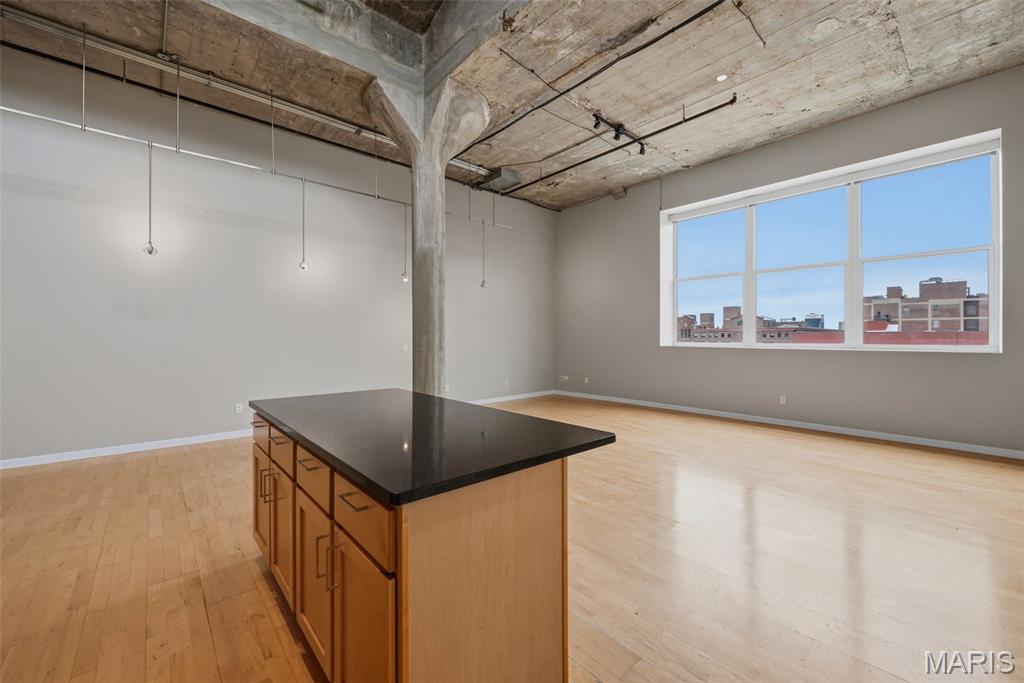 Annex Lofts Condo - Residential