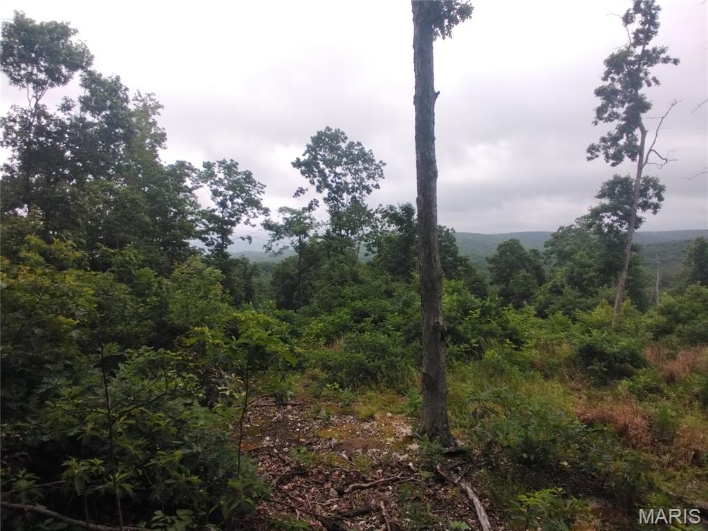 Beautiful 20+/- surveyed acres located in Belleview, Missouri. This property offers a peaceful rural setting with plenty of room to build, hunt, camp, or simply enjoy nature. Conveniently located near Elephant Rocks, Johnson's Shut-Ins, Shepherd Mountain Bike Park, and the Black River. A great opportunity to own your own slice of the Ozarks!