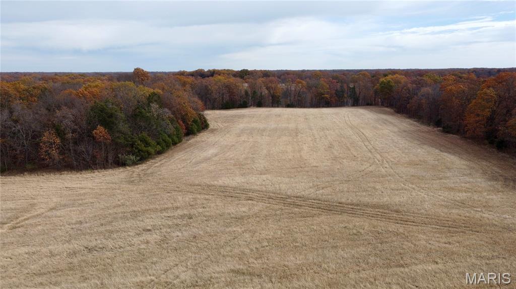 Polston Farms - Farm