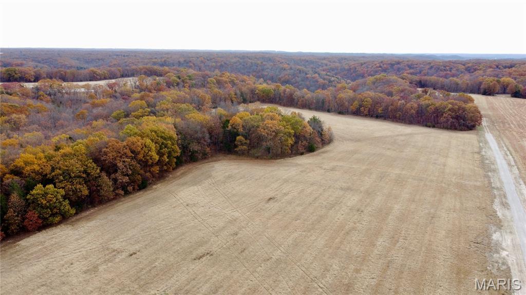 Polston Farms - Farm