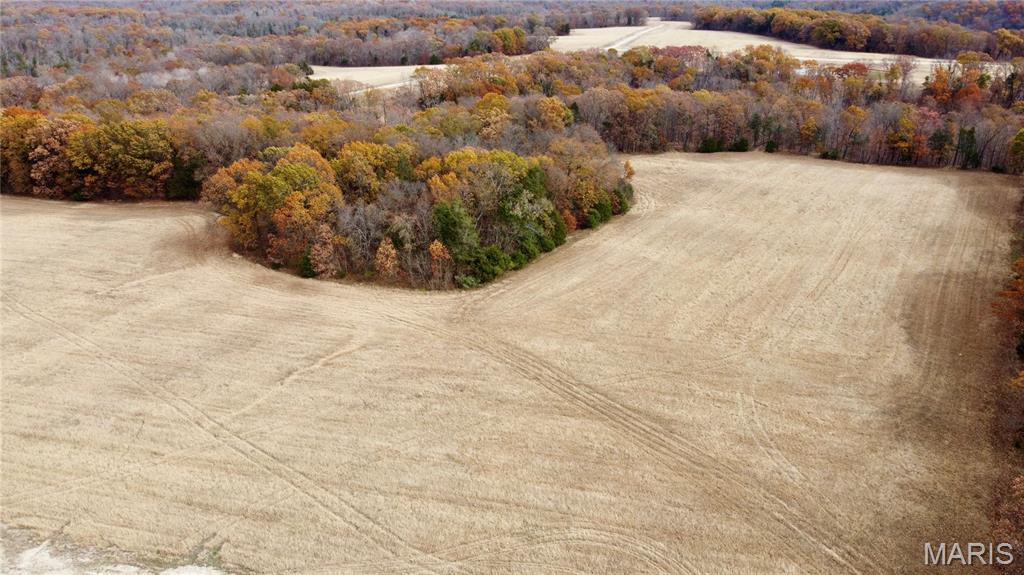 Polston Farms - Farm